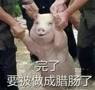 DƬ